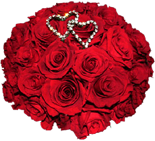 Viajes de luna de miel en la India